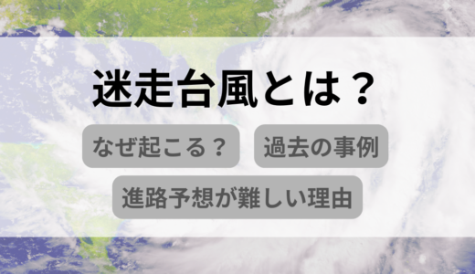 迷走台風とは？なぜ起こる？過去の事例と進路予想が難しい理由